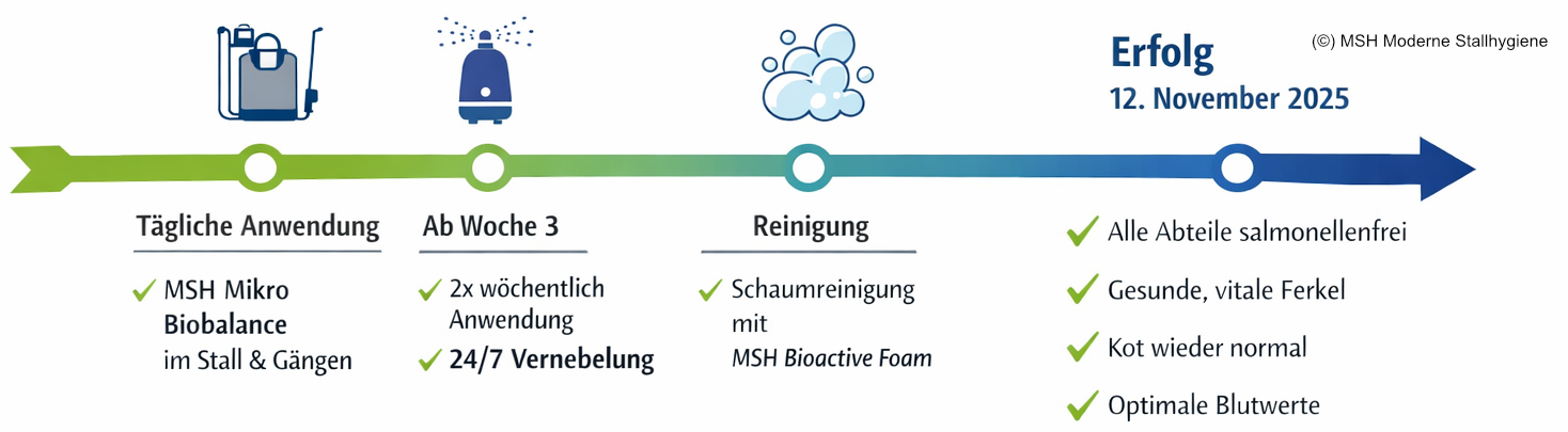Salmonellenbekämpfung